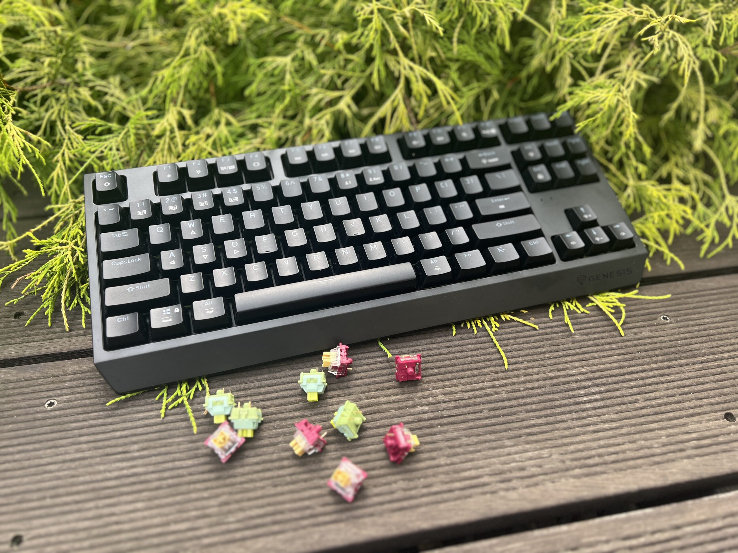 Genesis Thor 230 TKL Wireless