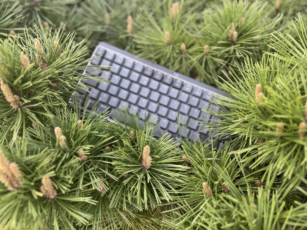 Logitech MX Mechanical Mini