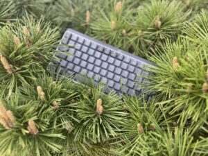 Logitech MX Mechanical Mini