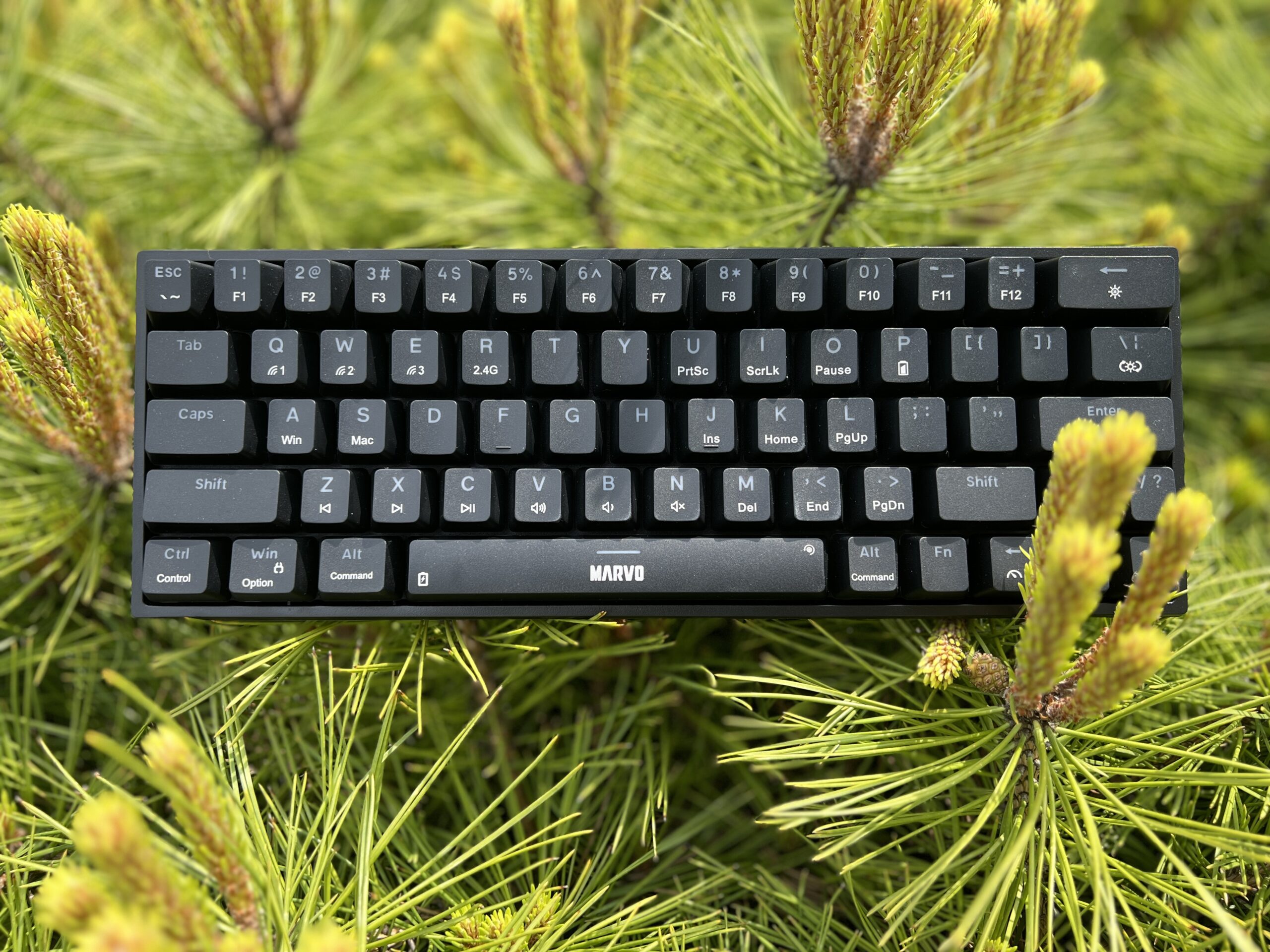 marvo shogo 63w