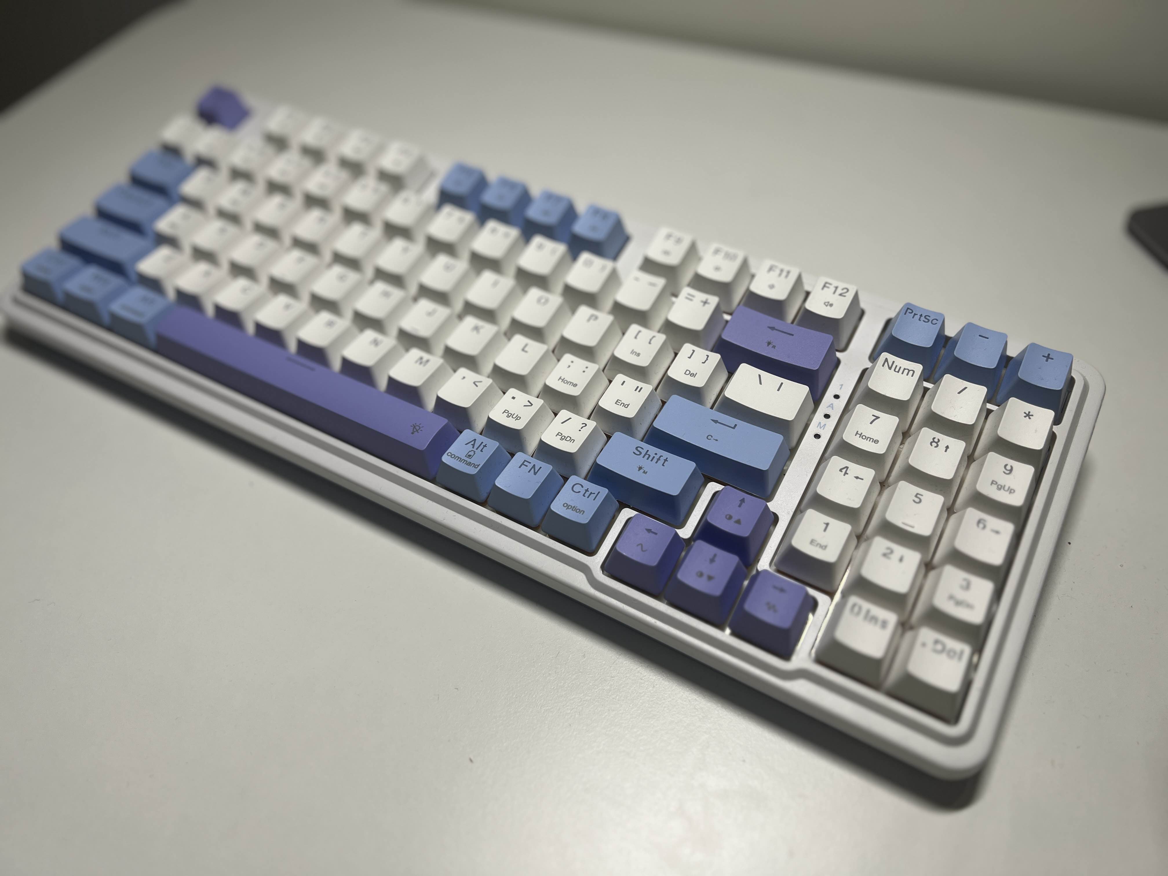 Regragon Gloria PRO