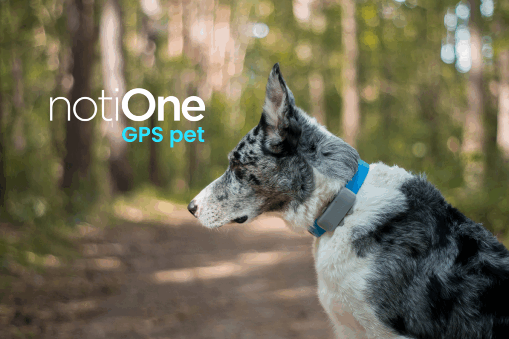 notione gps