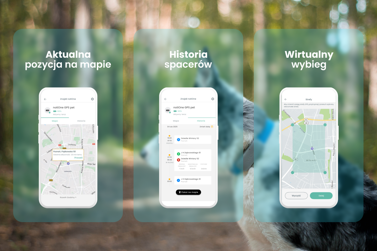 notione gps